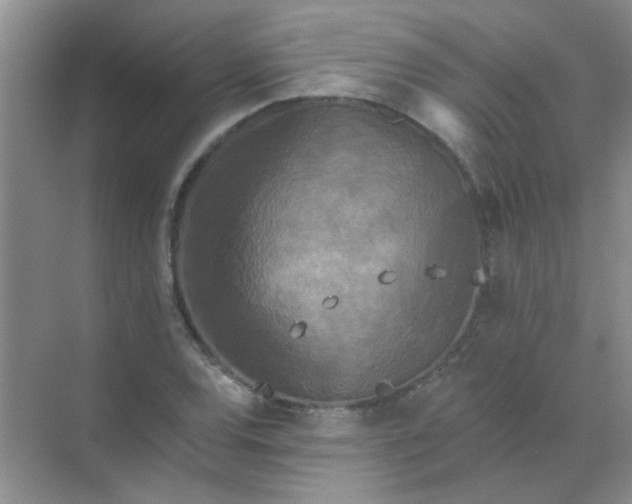 X0000070241120200606161839