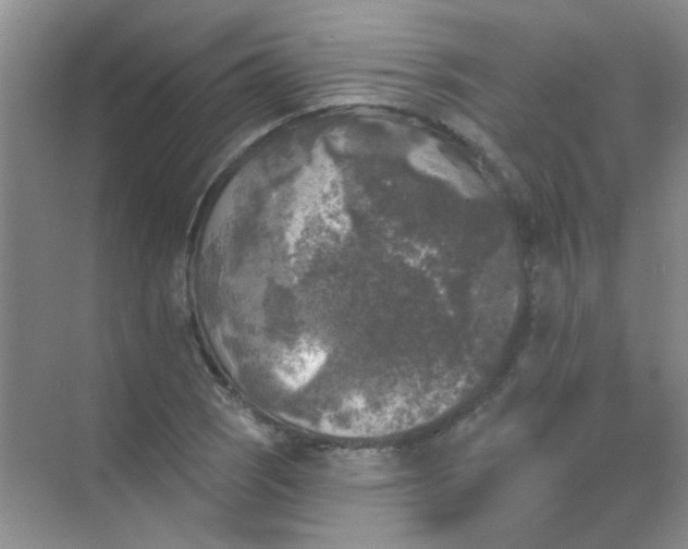 X0000070241121200606161839