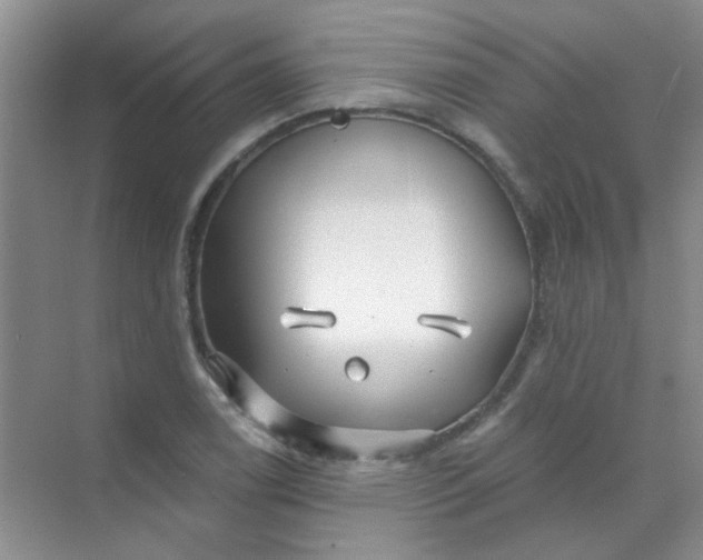 X0000070241122200606161839