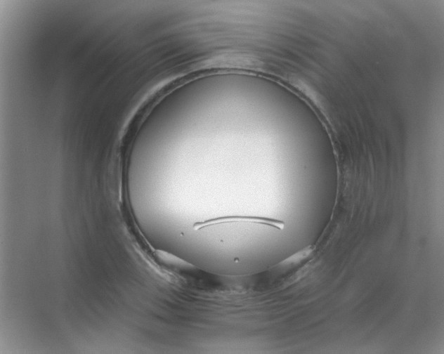 X0000070241123200606161839