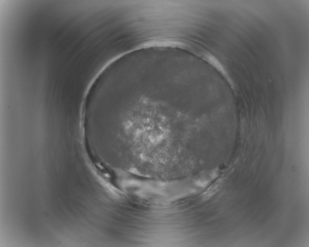 X0000070241124200606161839