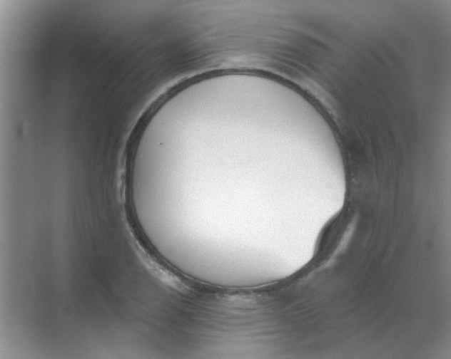 X0000070241126200606161839