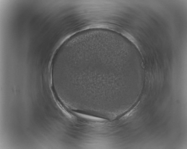 X0000070241127200606161839