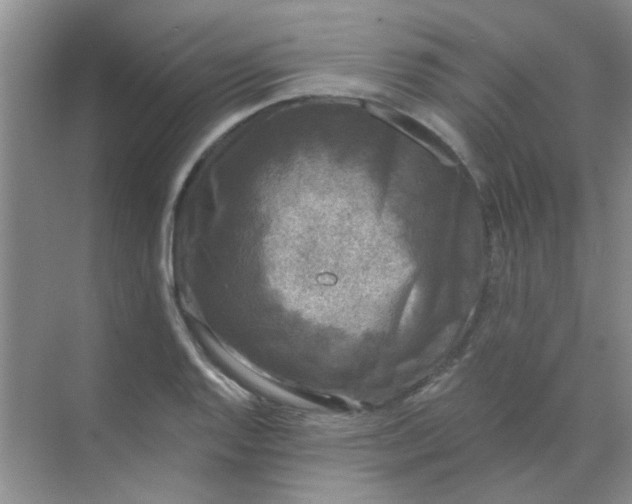 X0000070241128200606161839