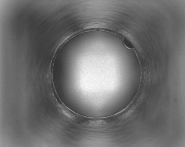 X0000070241129200606161839