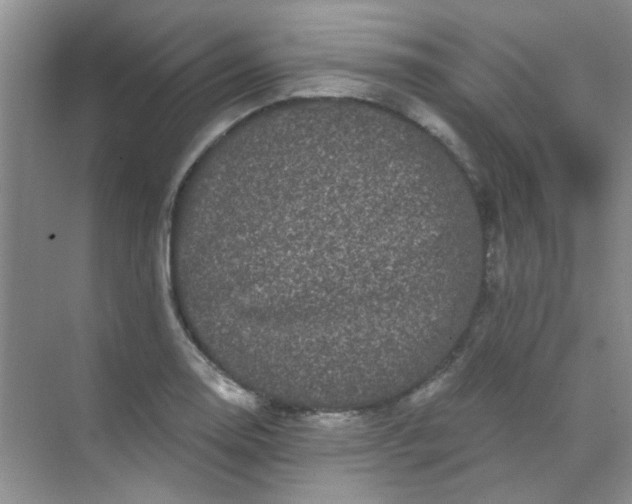 X0000070241130200606161839