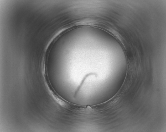 X0000070241131200606161839