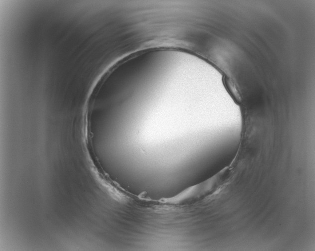 X0000070241132200606161839