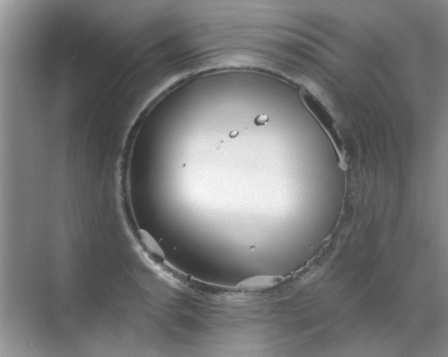 X0000070241134200606161839