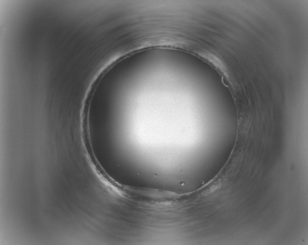 X0000070241135200606161839