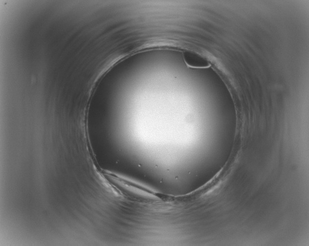 X0000070241137200606161839