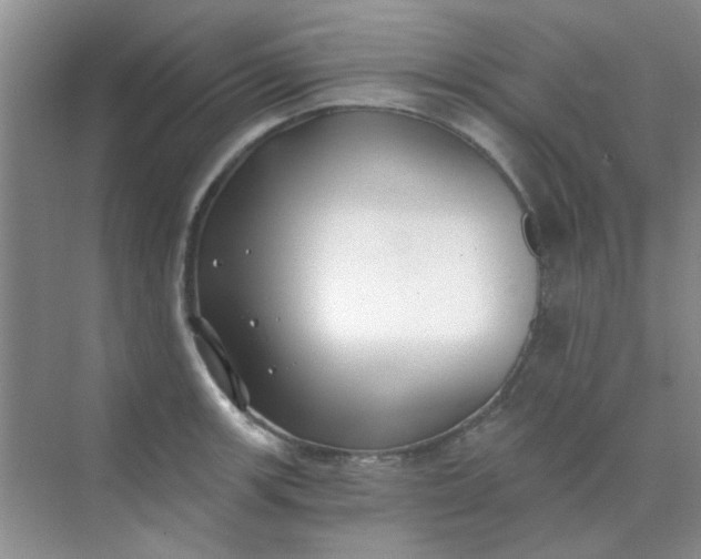 X0000070241139200606161839