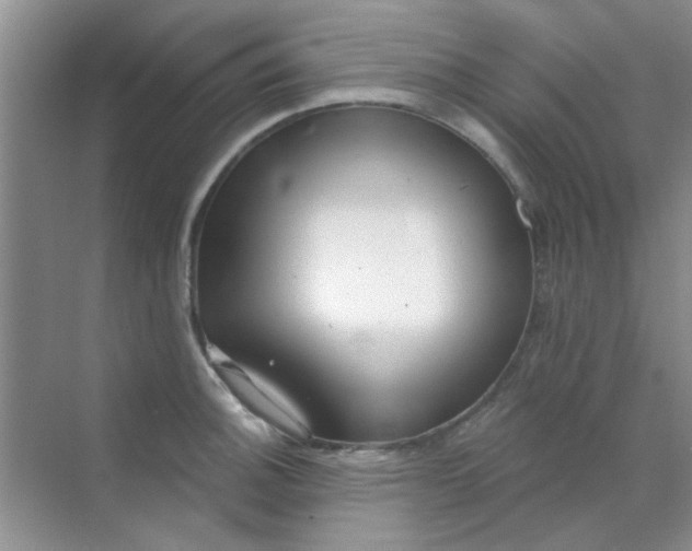 X0000070241140200606161839