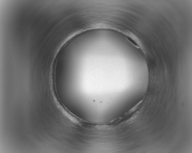 X0000070241142200606161839