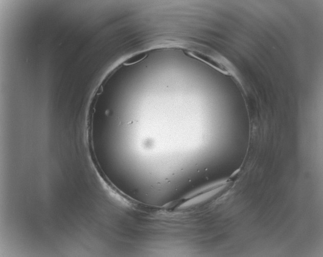 X0000070241143200606161839