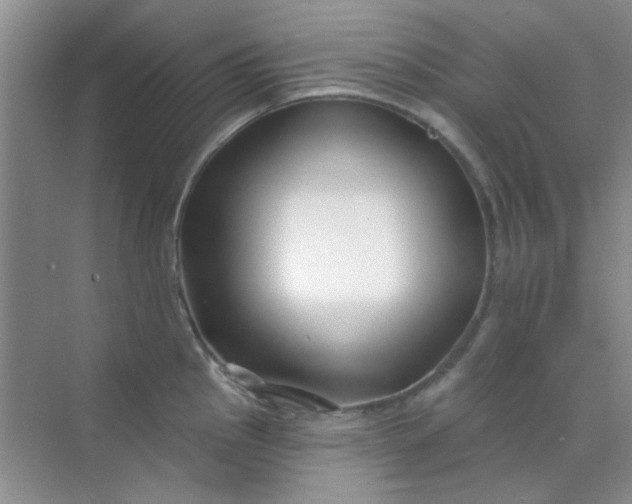 X0000070241145200606161839