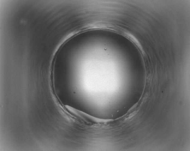 X0000070241146200606161839