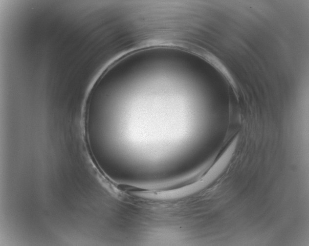 X0000070241148200606161839