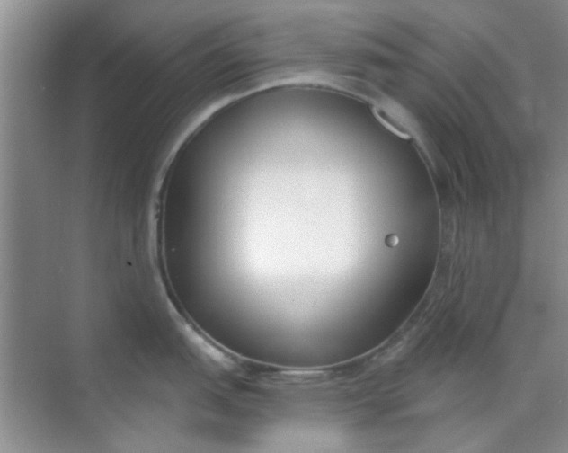 X0000070241151200606161839