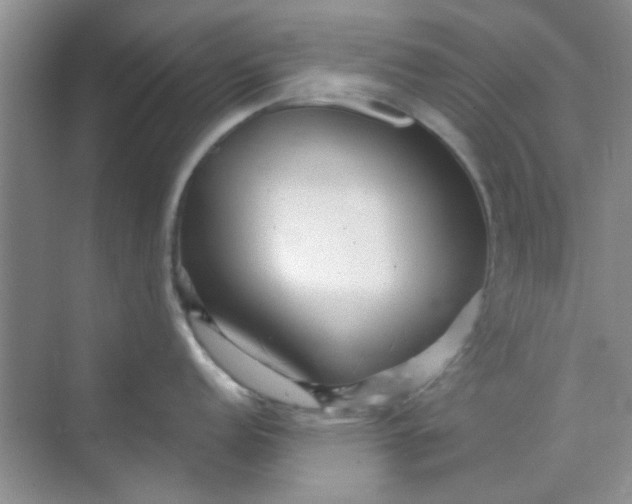 X0000070241152200606161839