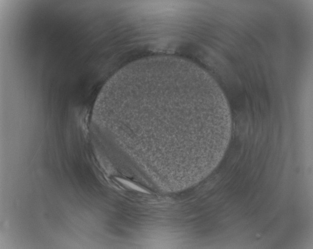 X0000070241154200606161838