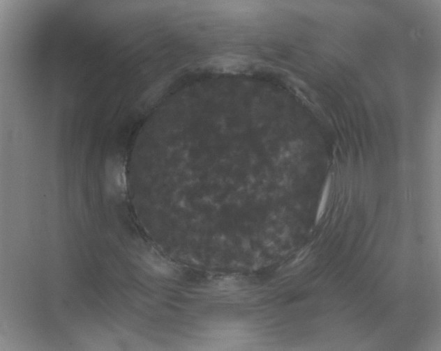 X0000070241155200606161838