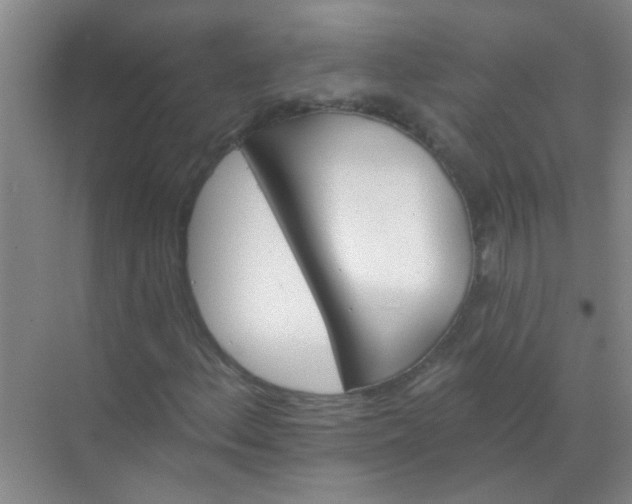 X0000070241156200606161838