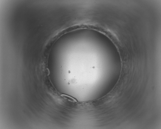 X0000070241159200606161838