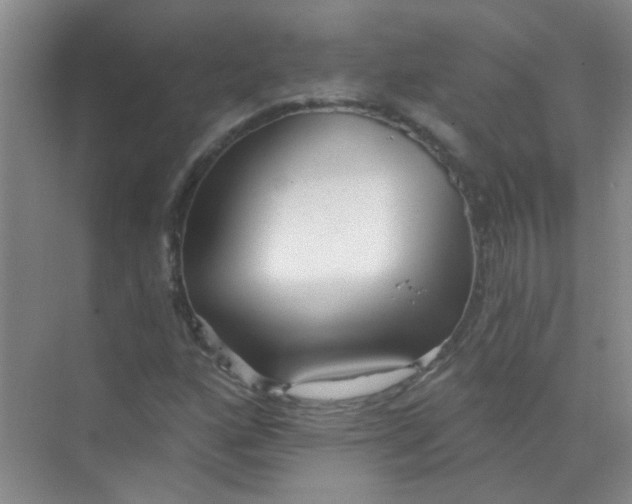 X0000070241160200606161838