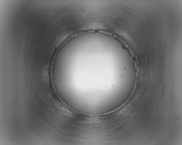 X0000070241162200606161838