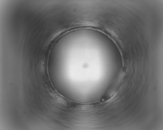 X0000070241163200606161838