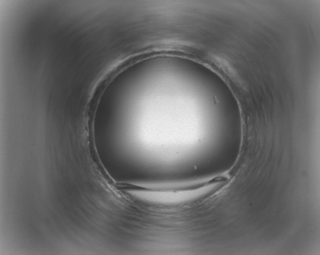 X0000070241164200606161838