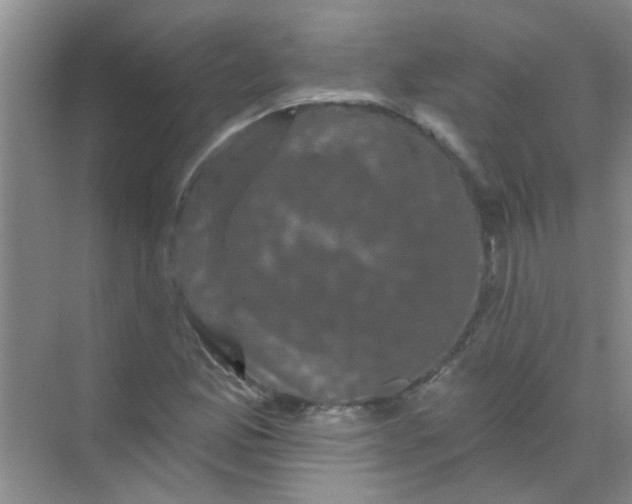 X0000070241165200606161838