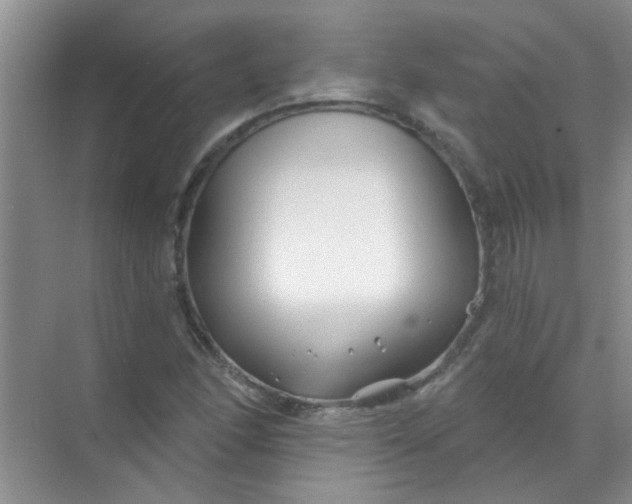 X0000070241166200606161838