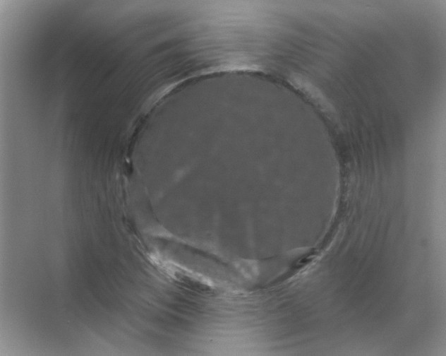 X0000070241169200606161838