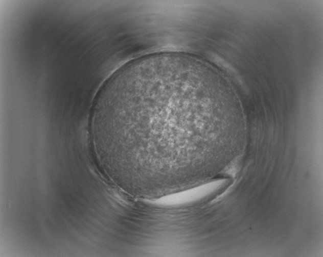 X0000070241170200606161838