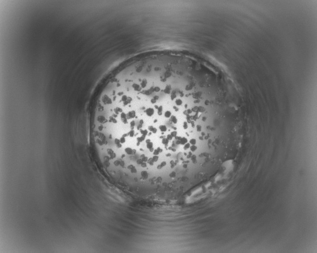 X0000070241171200606161838