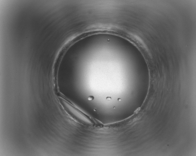 X0000070241172200606161838