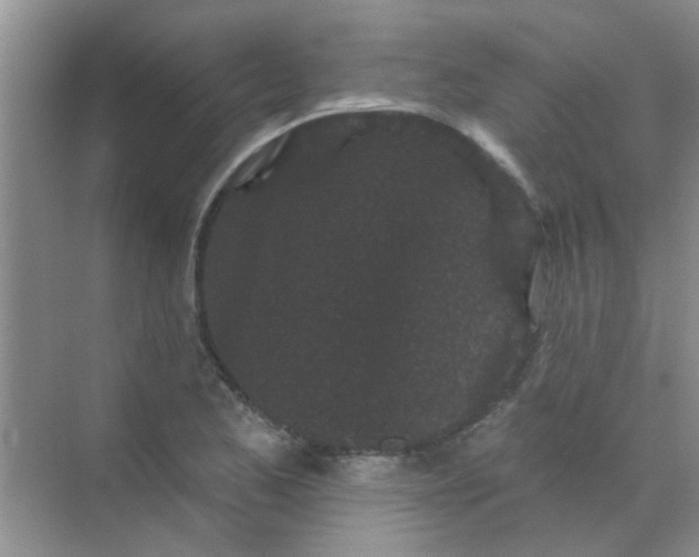 X0000070241173200606161838