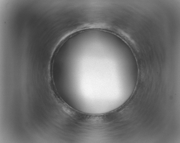 X0000070241174200606161838