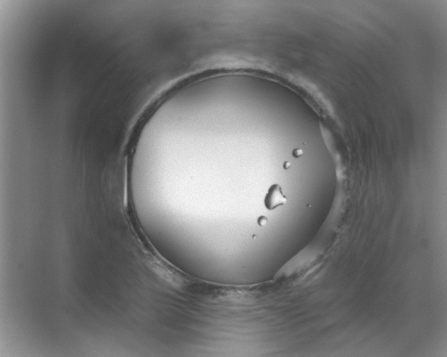 X0000070241175200606161838