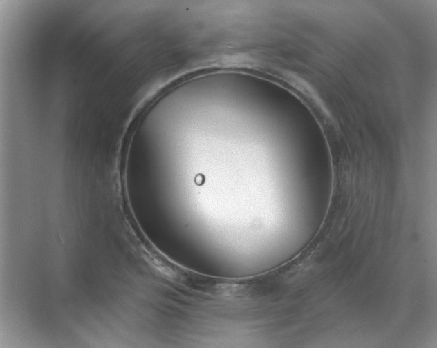 X0000070241176200606161838