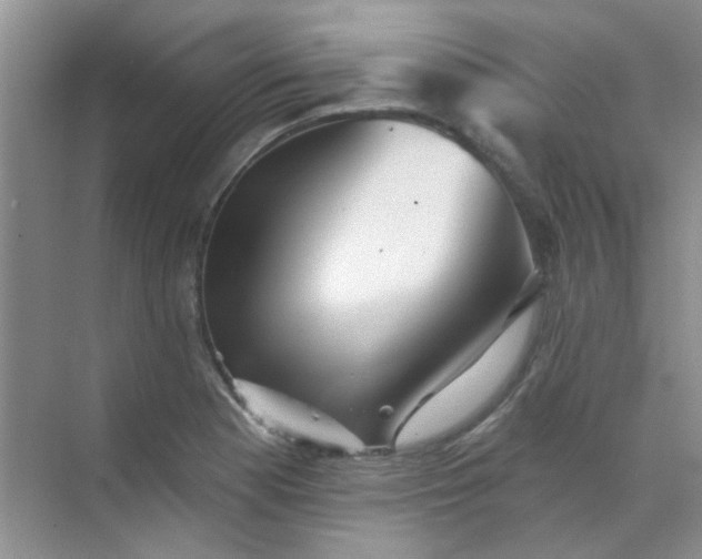 X0000070241177200606161838