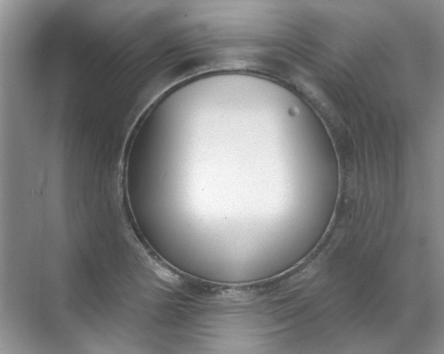 X0000070241178200606161838