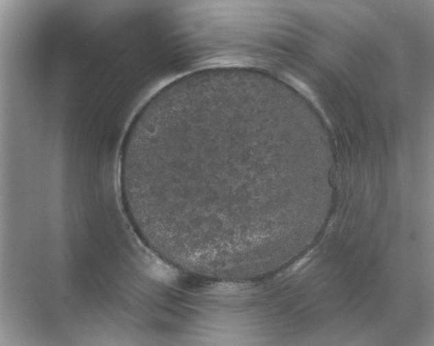 X0000070241179200606161838