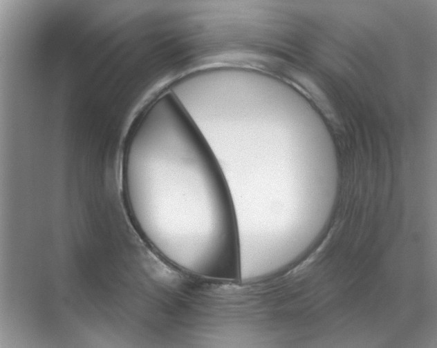 X0000070241180200606161838