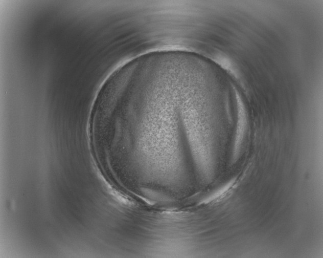 X0000070241181200606161838