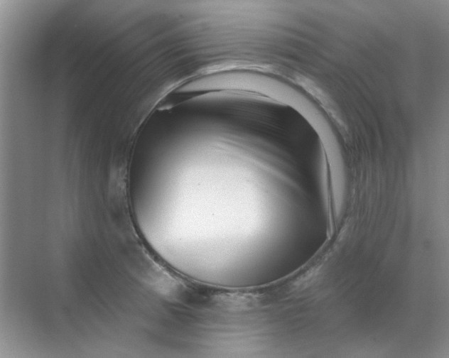 X0000070241185200606161838