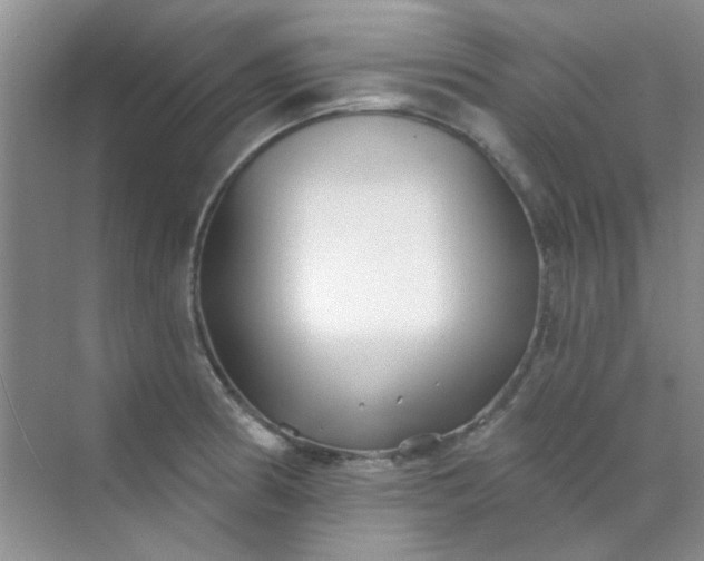 X0000070241186200606161838