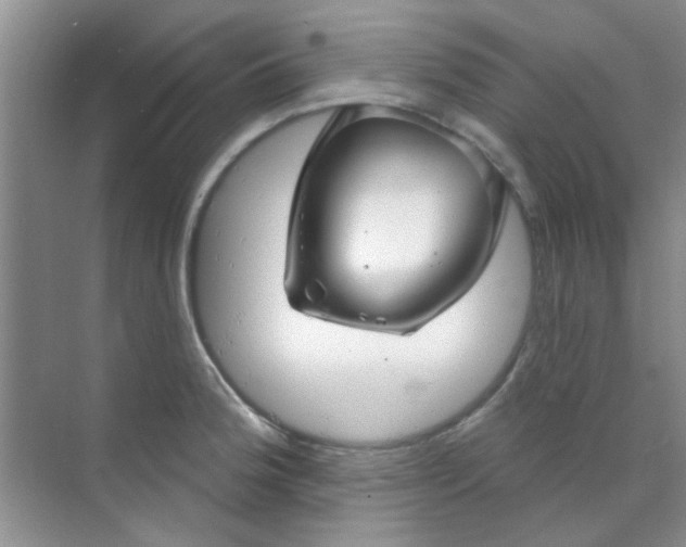 X0000070241188200606161838